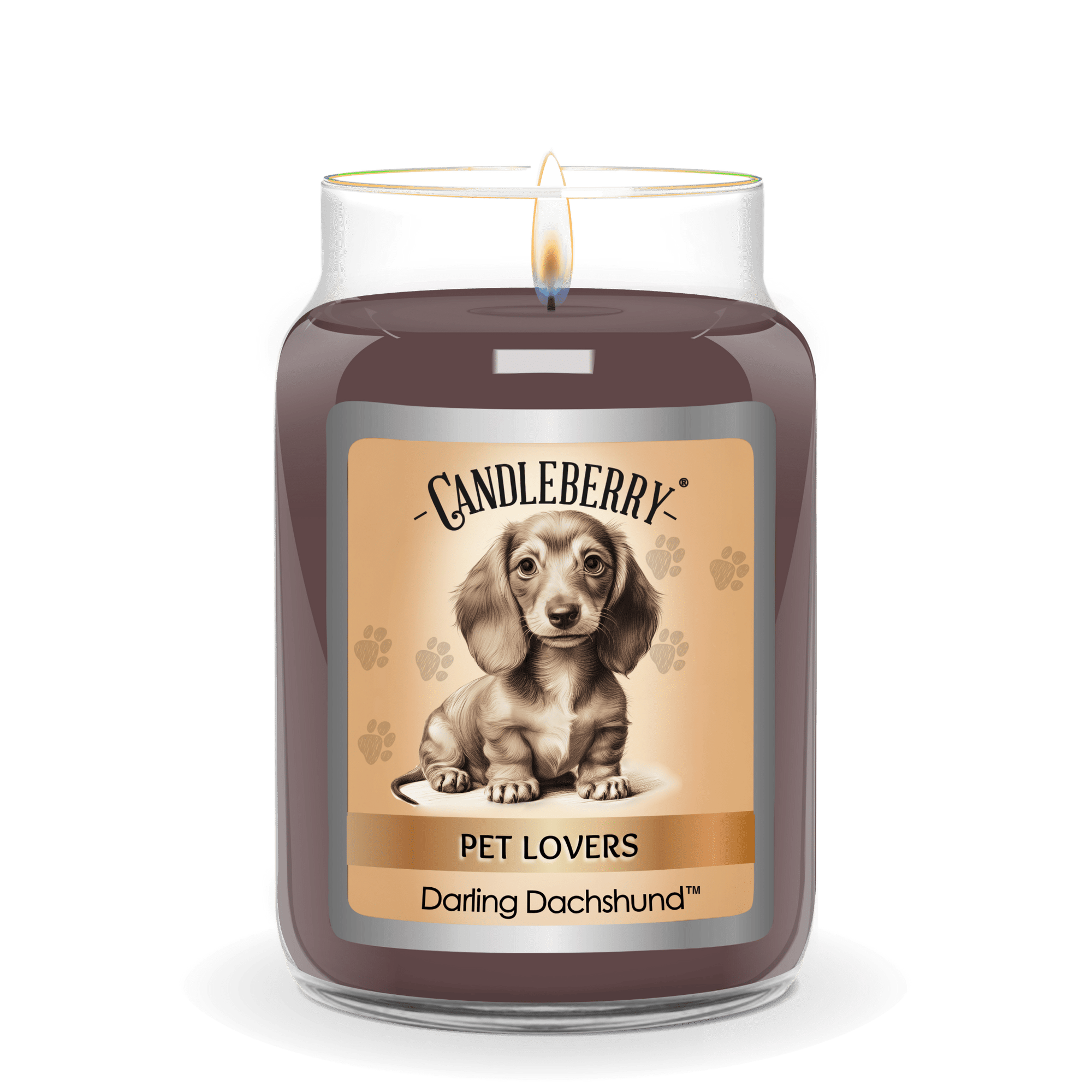 Darling Dachshund™ - Large Jar Candle (Collective)