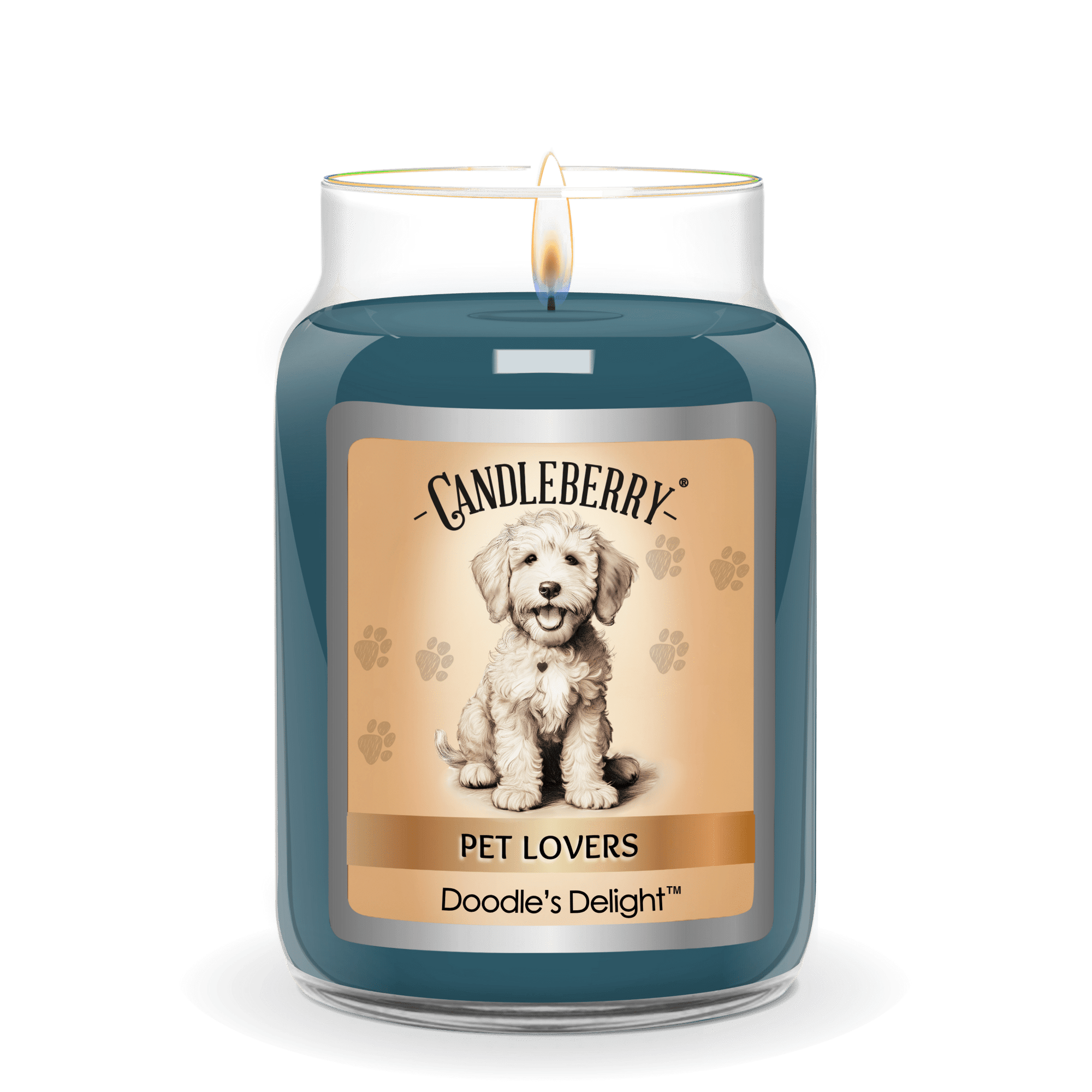Doodle's Delight™ - Large Jar Candle (Collective)