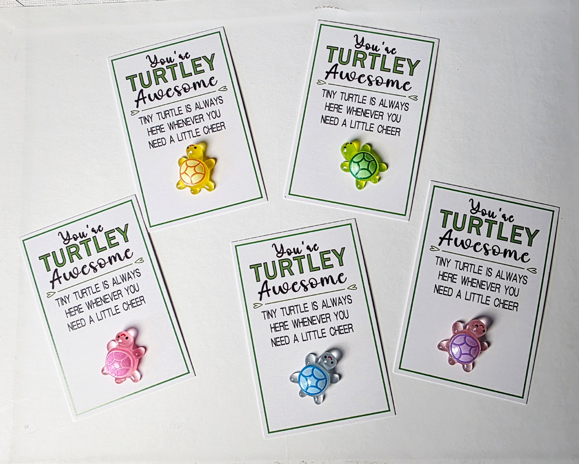 Mini pocket Turtle
