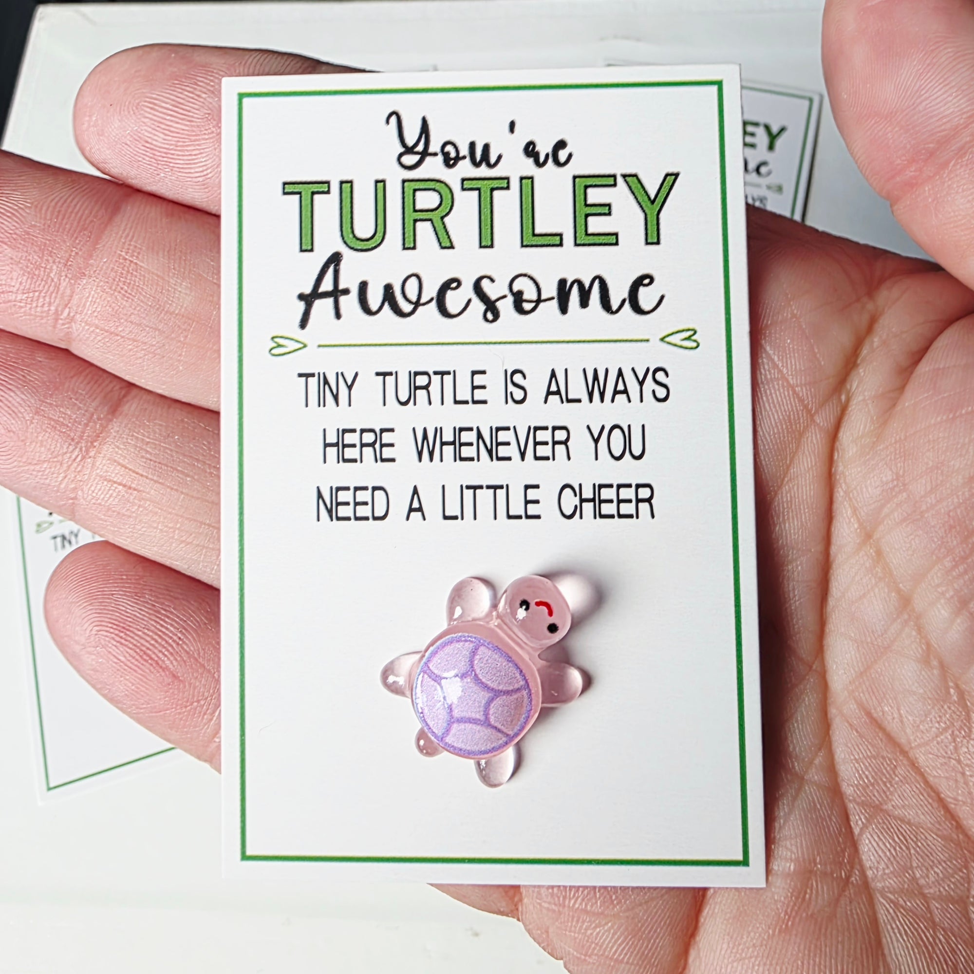Mini pocket Turtle