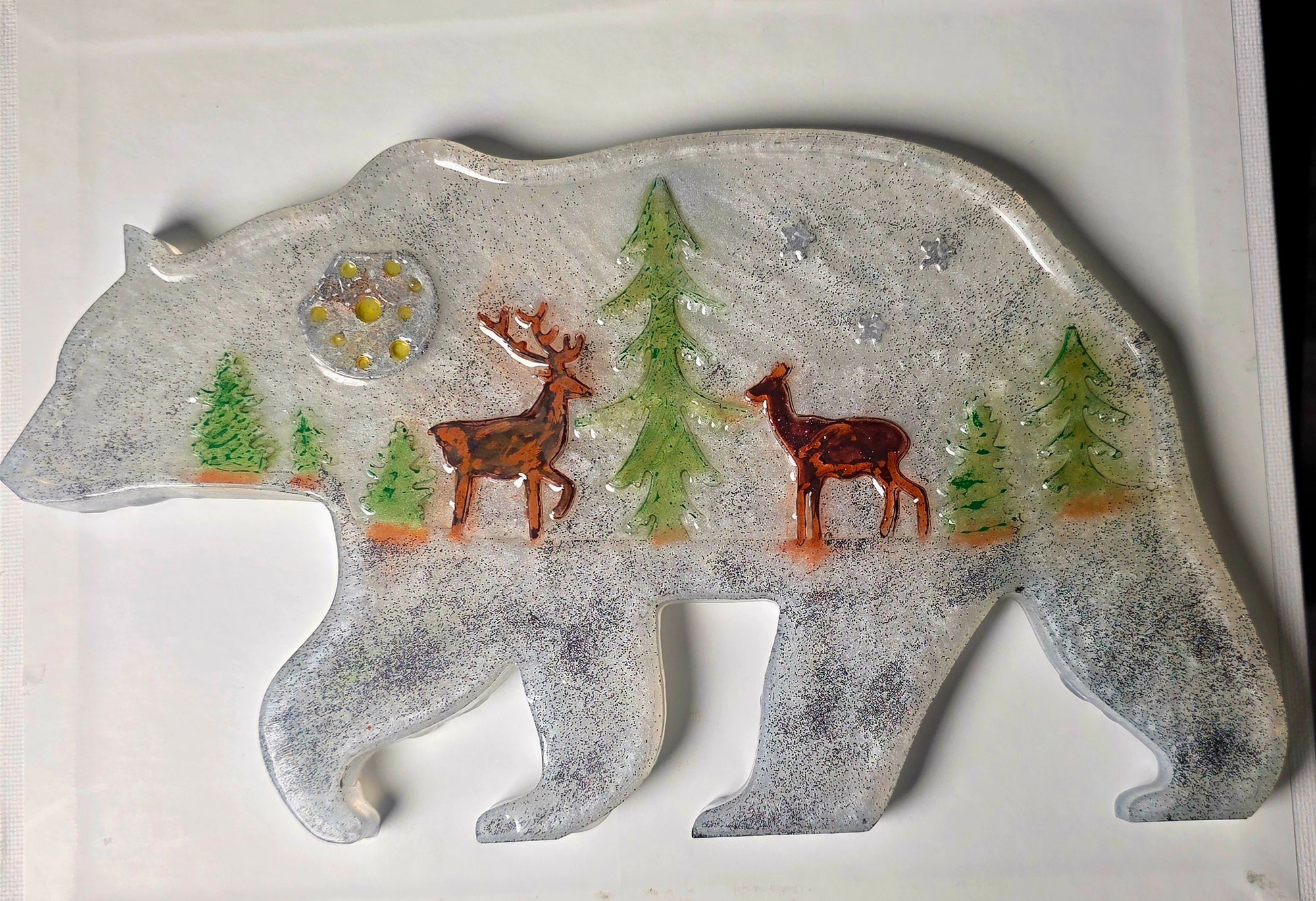 Nature Bear